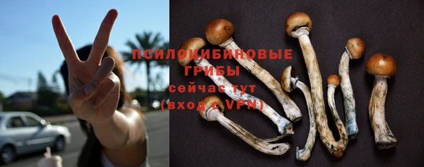 МДПВ Ачинск