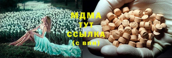 гашик Алапаевск