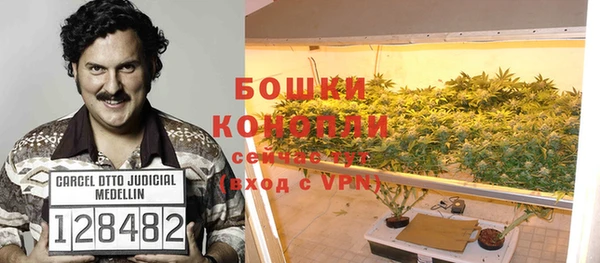гашик Алапаевск