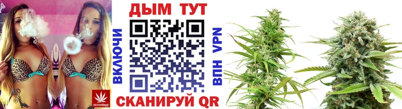 Бошки марихуана Bruce Banner  Каменногорск 